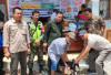 Cegah Rabies, Dinas Peternakan Terus Himbau Pimilik Anjing Divaksin