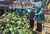 TP PKK OKUS Ikuti Penilaian 10 Program Pokok Tingkat Sumsel