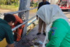 Jaga Lingkungan, DLH OKU Selatan Gelar Gotong Royong Bersama TNI, Polri dan Warga