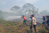 Marak Kebakaran, Pemkab Himbau Warga Waspada