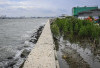 Proyek Raksasa Dimulai! Giant Sea Wall Siap Lindungi Jutaan Warga Pesisir