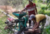 Harga Kopi OKU Selatan Meroket, Sentuh Rp60 Ribu per Kilo