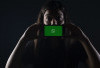 Perbedaan WhatsApp GB dan WhatsApp Resmi yang Perlu Diketahui