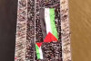 Puluhan Ribu Orrang di Dunia Demo Dukung Gaza