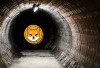 Shiba Inu Bakar 49 Juta Token, Burn Rate Meledak 17.930% dalam 24 Jam