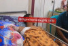 Tangan Warga Sungai Menang OKI Putus Digigit Buaya